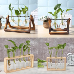 Clothing: Glass Hydroponic Vase with Versatile Wooden Stand - 18 Options