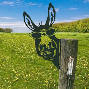 Metal Peeping Farm Animal Wall Art Sculpture | Whimsical Outdoor Decor for Garde…