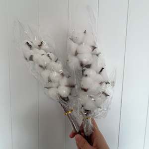 Food wholesaling: Cotton Short Stem