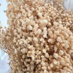 Food wholesaling: Baby Breath Natural