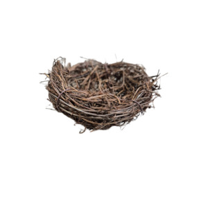 Christmas Decoration: Birds Nest