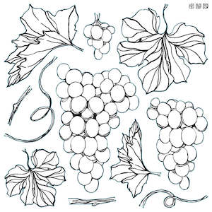 IOD Stamp | Grapes