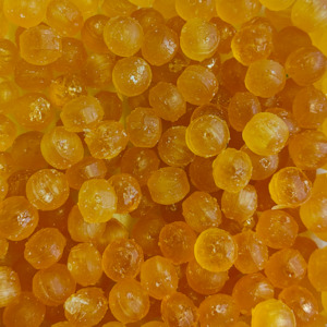 Manuka Honey Drops (Old Fashioned)