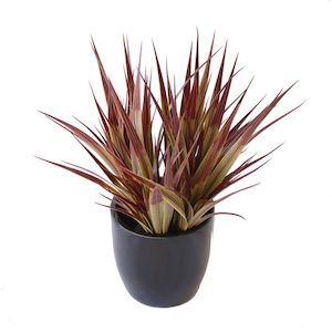 Plant, garden: Grass Bush 30cm Complete With Fibreglass Pot