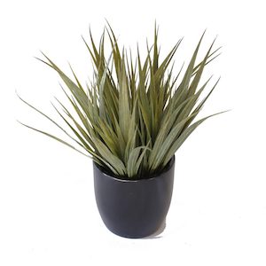 Grass Bush 30cm Complete With Fibreglass Pot