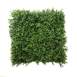 Plant, garden: Tea Leaf Matt 50x50cm Uv Stabilised