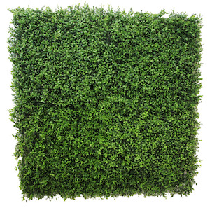 Plant, garden: Tea Leaf Matt 1x1m Uv Stabilised