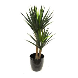 Yucca Tree 1.2m With Fibreglass Pot