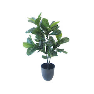 Fiddle Leaf Fig Tree 1.2m With Fiberglass Pot