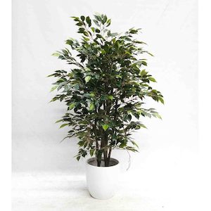 Mini Ficus Tree with Hanging Roots 120cm Complete with White Fiberglass Pot