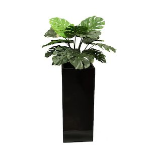 Plant, garden: Monsteria Plant 60Cm With Fibreglass Pot