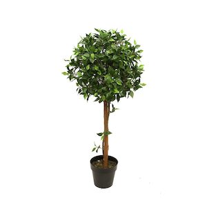 Ficus Ball Topiary Tree 1.2m