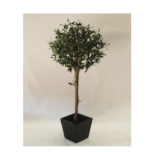 Plant, garden: Olive Ball Topiary Tree 1.2m With Fibreglass Pot