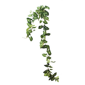 Syngonium Garland 1.8m With 87 Leaves