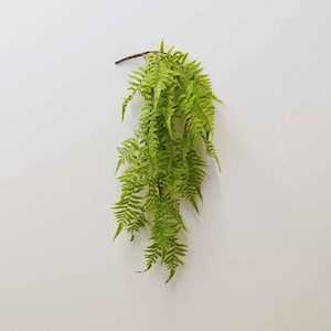 Hanging River Fern 76cm