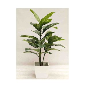 Dieffenbachia Plant 105cm UV Stabilised with Fibreglass Pot White