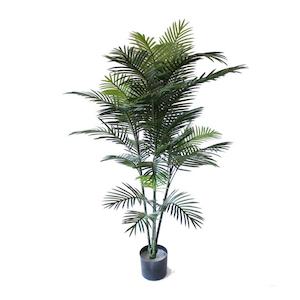 Areca Palm 1.5m UV Stabilised