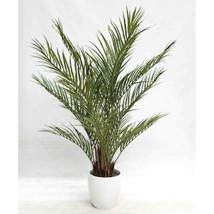 Areca Palm 150cm Multi Trunk with Fibreglass Pot White