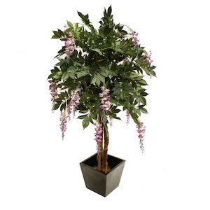 Wisteria Tree 1.2m Lilac With Fibreglass Pot