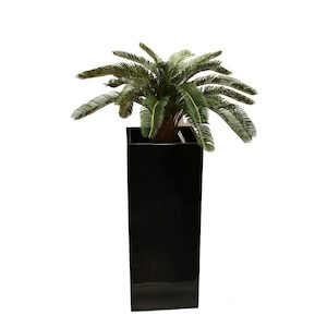 Cycad Plant 60cm Uv Stabilised With 76cm Fibreglass Pot