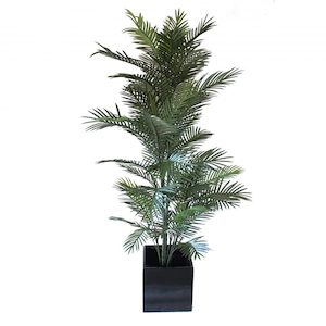 Plant, garden: Areca Palm 1.8m Uv Stabilised With Fibreglass Pot