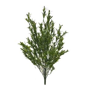 Rosemary Bush 60cm UV Stabilised