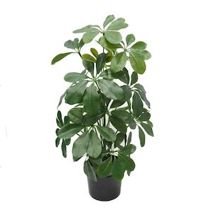 Schefflera Bush with Real Touch & UV Stabilised Leaves 50cm Potted