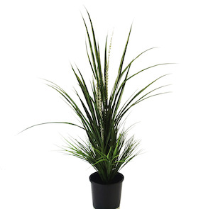 Plant, garden: Grass Bush 90cm UV Stabilised Potted