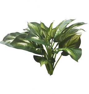 Hosta Plant 45cm Real Touch