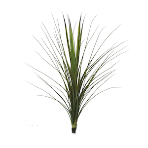 Plant, garden: Two Tone Grass Bush 90cm UV Stabilsed