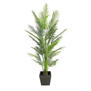 Plant, garden: Areca Palm Real Touch 210cm UV Stabilised with Fibreglass Pot (Black)