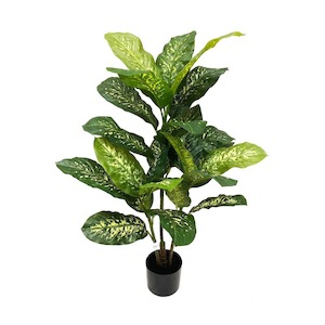 Dieffenbachia Plant with Real Touch & UV Stabilised Leaves 105cm