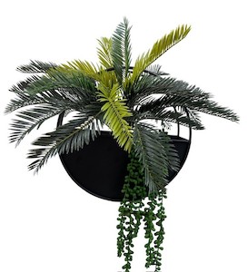 Cycad Palm Wall Planter