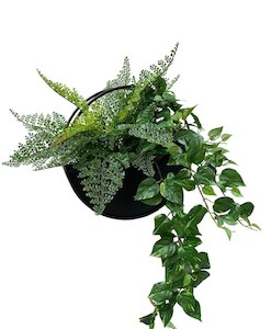 Ruffle Fern and Pothos Vine Wall Planter