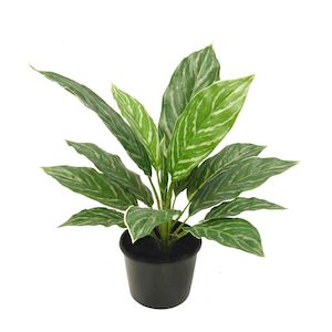 Aglaonema Bush 40cm Real Touch UV Stabilised Potted