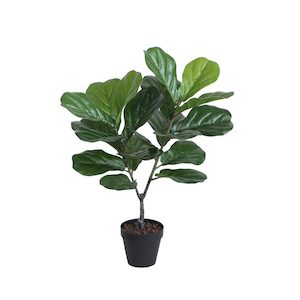 Fiddle Leaf Tree With Real Touch Leaves 70cm