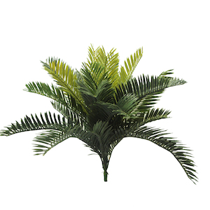 Cycad Palm 45cm