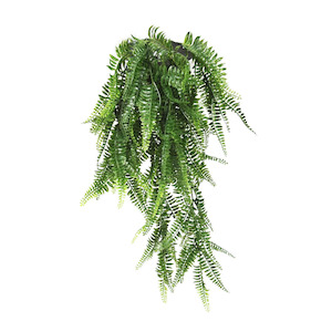 Bakers Fern 68cm Uv Stabilised