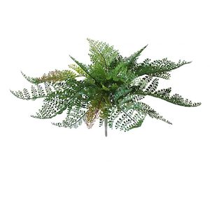 Ruffle Fern 45cm