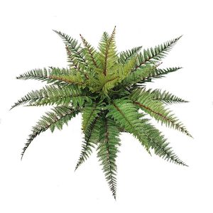 Leather Fern 48cm UV Stabilised