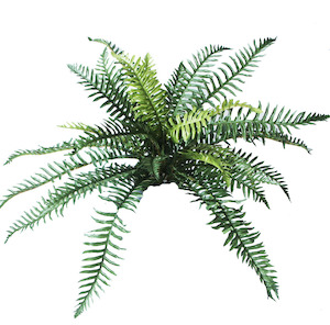 Ruffle Fern 73cm