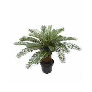 Cycad Palm 60cm UV Stabilised