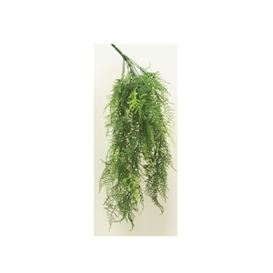 Hanging Fern Vine 70cm