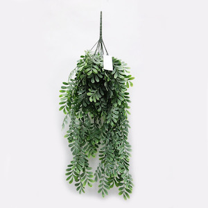 Acacia Hanging Vine 76cm