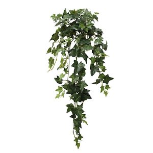 Plant, garden: Ivy Vine 73cm With 170 Leaves