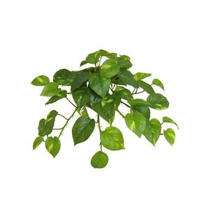 Pothos Vine Real Touch 48cm UV Stabilised