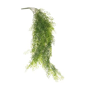 Plant, garden: Hanging Murraya Fern 85cm UV Stabilised