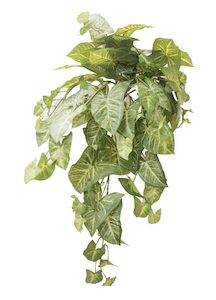 Deluxe Syngonium Vine 70cm