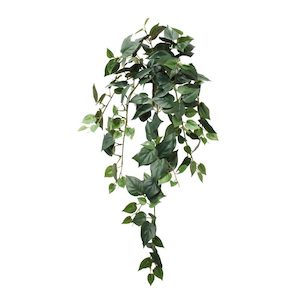 Philo Vine 73cm With 170 Leaves