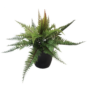 Leather Fern 48cm UV Stabilised Complete With Fibreglass Pot